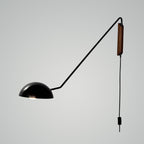 Swing Arm Wall Lamp with Dome Shade
